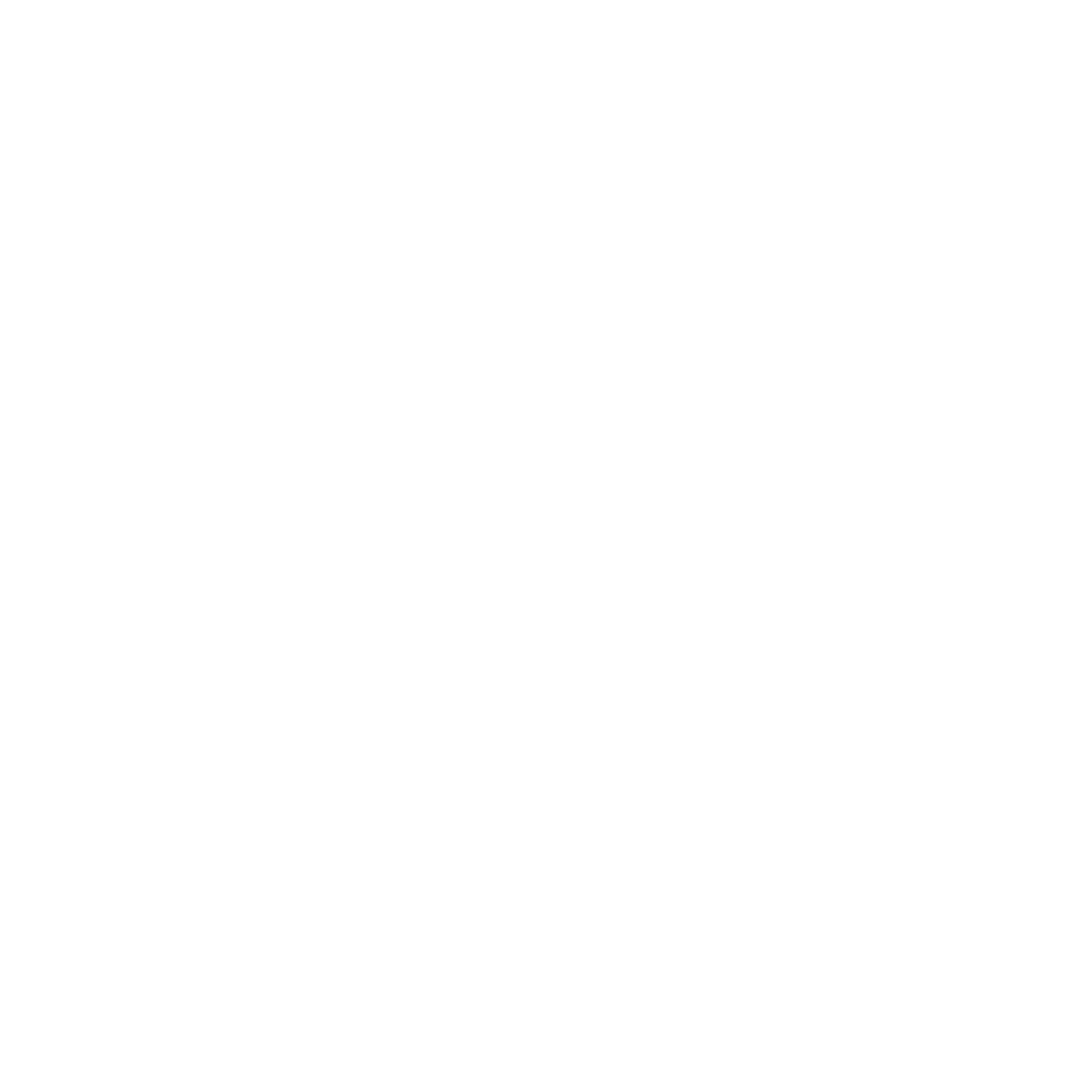 The Links Social Tour logo